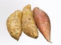 Sweet potato Royalty Free Stock Photo