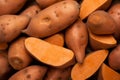 Sweet potato harvest closeup. Generate Ai