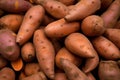 Sweet potato harvest food. Generate Ai