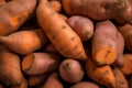 Sweet potato harvest. Generate Ai