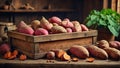 Sweet potato harvest in the kitchen Royalty Free Stock Photo