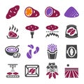 sweet potato icon set