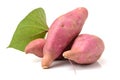 The sweet potato Ipomoea batatas or batat