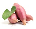 The sweet potato Ipomoea batatas or batat Royalty Free Stock Photo