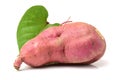 The sweet potato Ipomoea batatas or batat Royalty Free Stock Photo