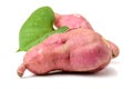 The sweet potato Ipomoea batatas or batat Royalty Free Stock Photo