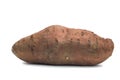 Sweet Potato