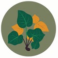 Sweet Potato Leaves Vegetable Cute Playful Flat Icon by Generative AI