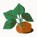 Sweet Potato Leaves Vegetable Cute Playful Flat Icon by Generative AI