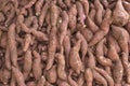 Pile of fresh sweet potato