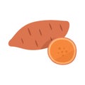 Sweet potato vector illustration. Whole and cut vegetable on white background. Royalty Free Stock Photo