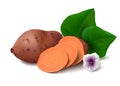 Sweet potato on white background