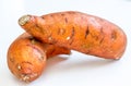 Sweet Potato on the White Light Background Royalty Free Stock Photo