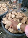 Sweet potatoes