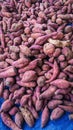 Sweet potatoes, sweet potatoes, sweet potatoes, Javanese sweet potatoes or keledek