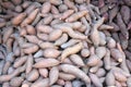 Sweet potatoes piled for sale. Also known as Ipomoea batatas as its scientific name. Royalty Free Stock Photo