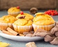 Sweet pumpkin or carrot muffins with fall spices. Autumn dessert. Royalty Free Stock Photo