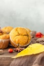 Sweet pumpkin or carrot muffins with fall spices. Autumn dessert. Royalty Free Stock Photo