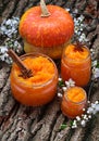 Sweet pumpkin jam in jar Royalty Free Stock Photo