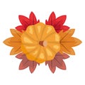 Sweet pumpkin leaves decoration background