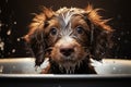 Sweet puppy bathes, wet fur and happiness in a cleansing moment