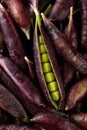 Sweet purple Magnolia Pea, Sugarsnap on rustic wooden board. ready to eat Royalty Free Stock Photo