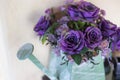 Sweet purple roses in watering can