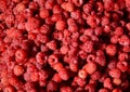 Sweet raspberries background