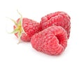 Sweet raspberry