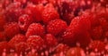 Sweet raspberry background many berries banner