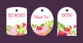 Sweet Raspberry Dessert Tags Design with Creamy Cake Vector Template