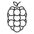 Sweet raspberry icon, outline style