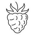 Sweet raspberry icon, outline style