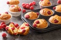 Sweet raspberry muffins with white chocolate close-up in a muffin pan. Horizontal Royalty Free Stock Photo