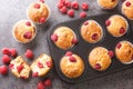 Sweet raspberry muffins with white chocolate close-up in a muffin pan. Horizontal top view Royalty Free Stock Photo