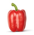 Sweet red bell pepper isolated on white background Royalty Free Stock Photo