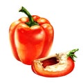 Sweet red bell pepper, whole and slices. Fresh vegetable, isolated, label packaging design element, healthy vegetarian