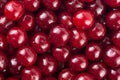 Sweet red cherries as background, top view. Royalty Free Stock Photo