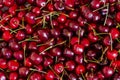 Sweet red cherries background Royalty Free Stock Photo