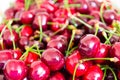 Sweet red cherries Royalty Free Stock Photo