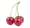 Sweet red cherries isolated on white background. Fresh cherry fruit Royalty Free Stock Photo