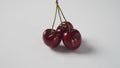 Sweet red cherries on a plate, fresh ripe sour cherries Royalty Free Stock Photo