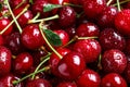 Sweet red cherries with water drops as background Royalty Free Stock Photo