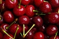 Sweet red cherries with water drops as background Royalty Free Stock Photo