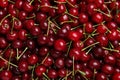 Sweet red cherries with water drops as background Royalty Free Stock Photo