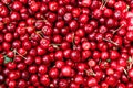 Sweet red cherry background, top view. Royalty Free Stock Photo