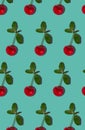 Sweet red cherry fruits with hard shadows flat lay on pastel blue background website vertical banner.Creative layout Royalty Free Stock Photo