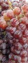 sweet red grapes and sparkling fruit Royalty Free Stock Photo