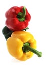 Sweet Red, Green and Yellow Pepper, capsicum annuum against White Background Royalty Free Stock Photo