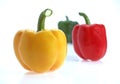 Sweet Red, Green and Yellow Pepper, capsicum annuum against White Background Royalty Free Stock Photo